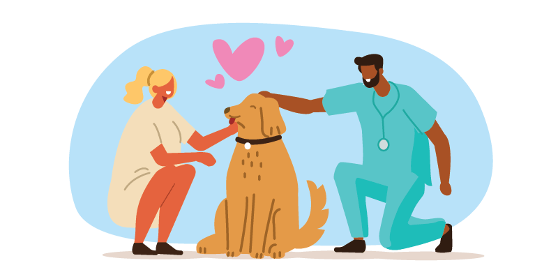 dog and vet illustration